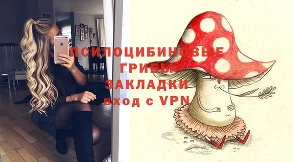 apvp Белоозёрский